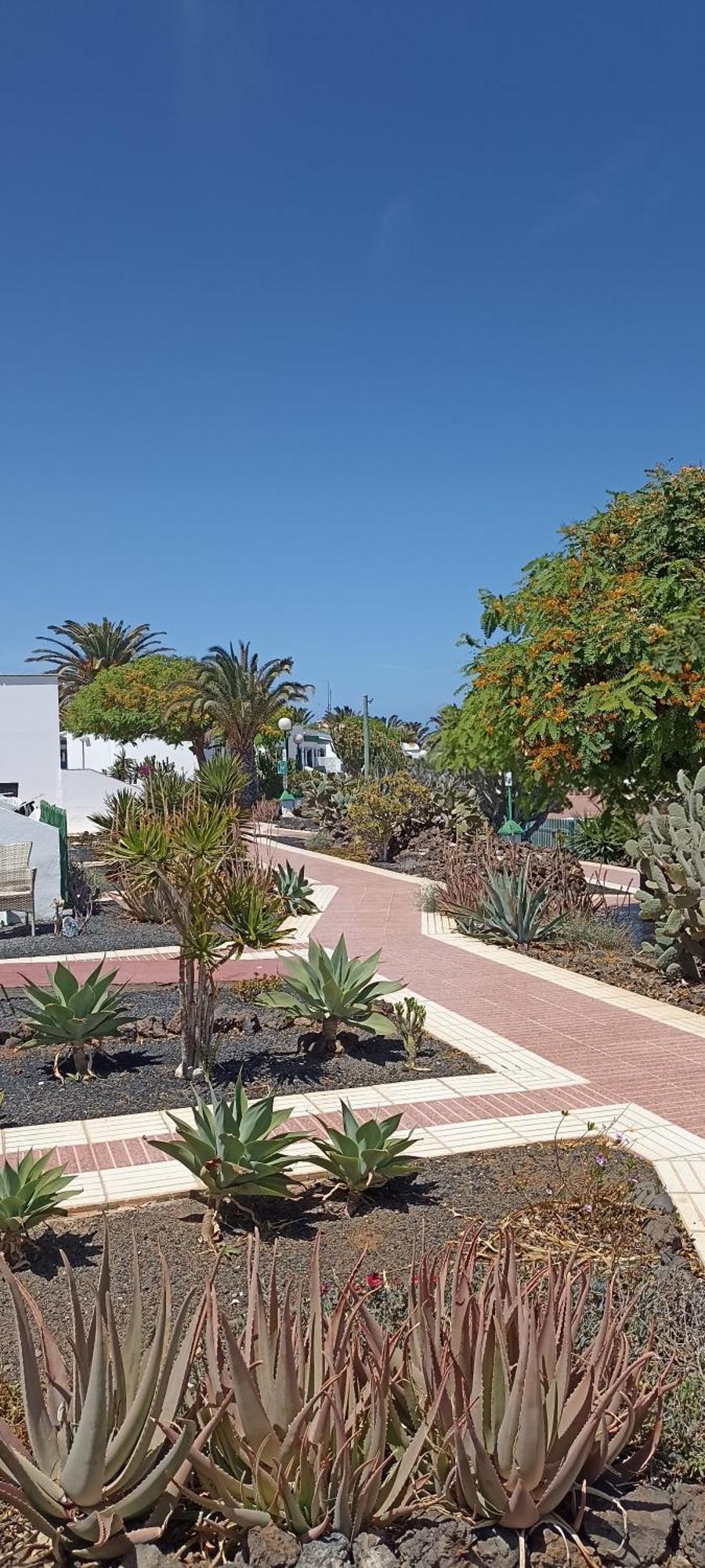 Vila Casa Gioeli Cocosol Costa De Antigua Exteriér fotografie